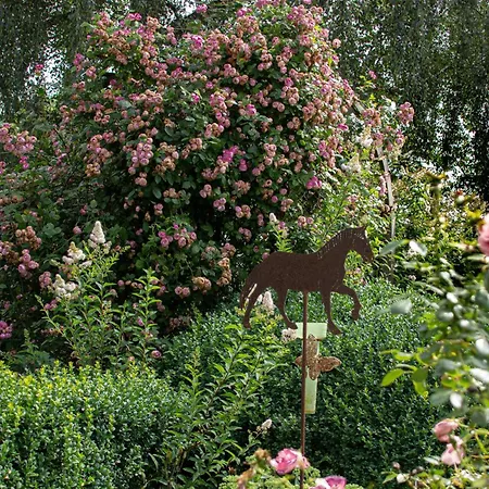 Apartmán Hof Timmermann - Spatzennest *