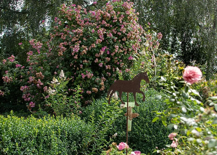 Апартаменты Hof Timmermann - Spatzennest *